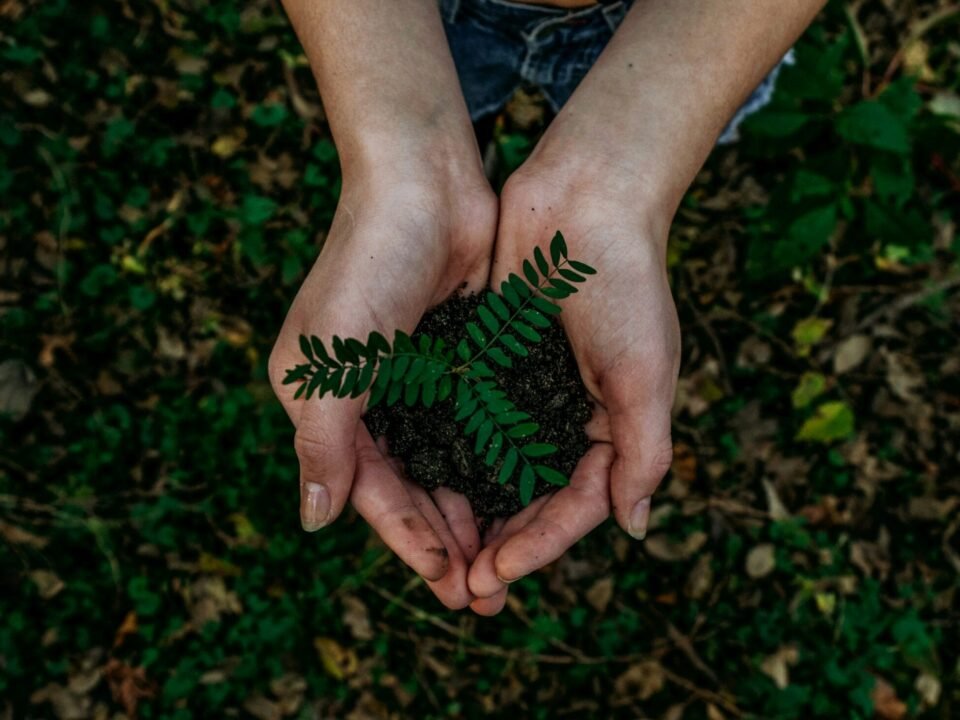 green plant